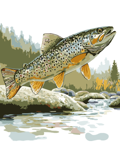 brook trout