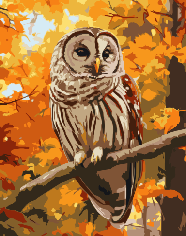 barred owl