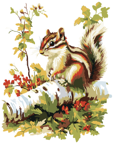 chipmunk