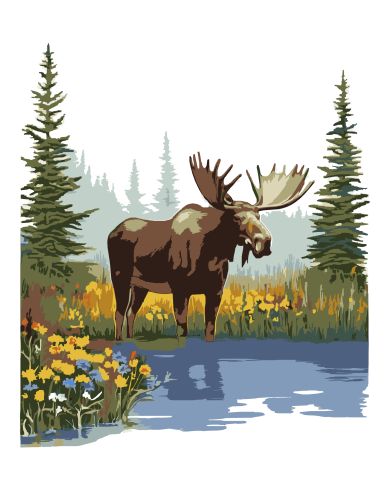Paint By Number Moose