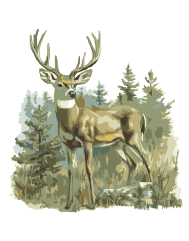 buck
