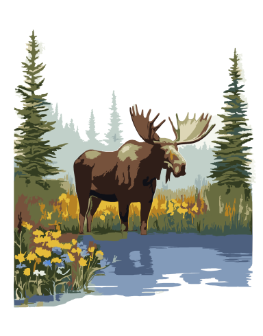 moose