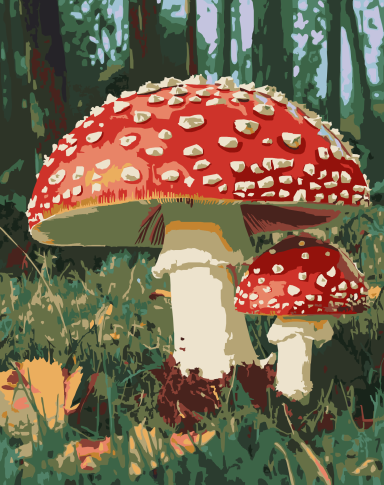 fly agaric mushroom