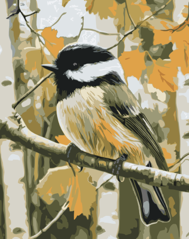 chickadee